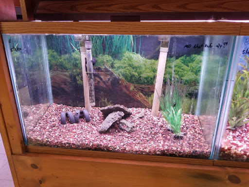 Pet Supply Store «All About Pets», reviews and photos, 9285 Cincinnati Columbus Rd, West Chester Township, OH 45069, USA