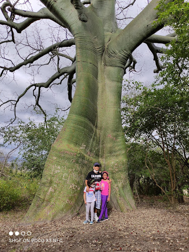 Cerro Hojas Jaboncillo, Museo de sitio, Picozá, Manabí , Ecuador - Museo