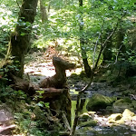 Photo n°3 de l'avis de Dagmar.e fait le 04/05/2018 à 15:06 sur le  Christliche Gästehäuser Monbachtal à Bad Liebenzell