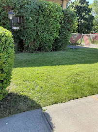 LawnStarter - Photo 8 - Car repair in , Houston