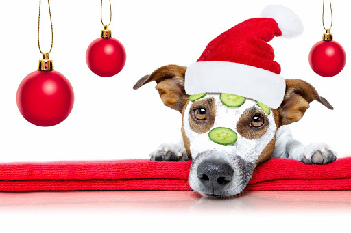 Facial Spa «Beauty Oasis Rx Facial Clinic», reviews and photos, 977 Raintree Cir #220, Allen, TX 75013, USA