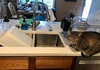 Monona Plumbing and Fire Protection - Photo 8 - Car repair in Madison, WI, Madison