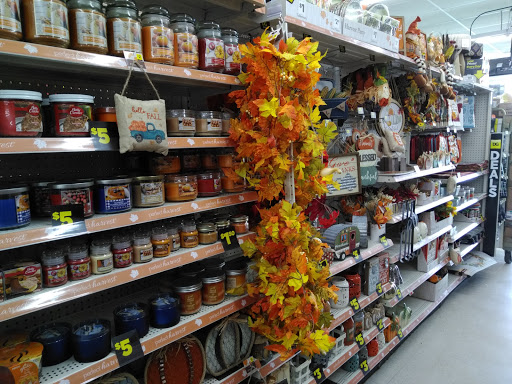 Discount Store «Dollar General», reviews and photos, 30188 Sussex Hwy, Laurel, DE 19956, USA