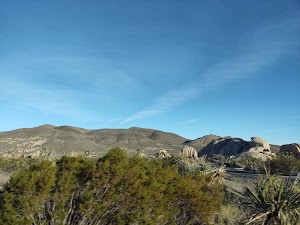 Arch Rock - photo 28