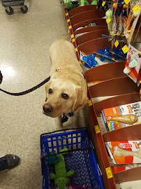 PetSmart - Photo 3 - Car repair in Taylorsville, UT, Salt Lake City