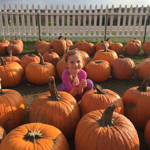 Day Care Center «School Bell Early Childhood Education Center», reviews and photos, 7172 Grand River Ave, Brighton, MI 48114, USA