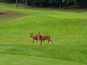Photo n°55 de Golf de l'Isle Adam à L'Isle-Adam ()