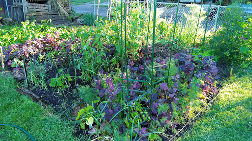 Park «Sewallcrest Park», reviews and photos, SE 31st Ave & Market St, Portland, OR 97214, USA