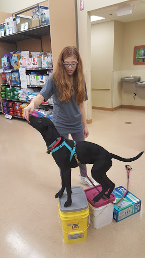 Pet Supply Store «Petco Animal Supplies», reviews and photos, 169 Brooklawn St, Farragut, TN 37934, USA