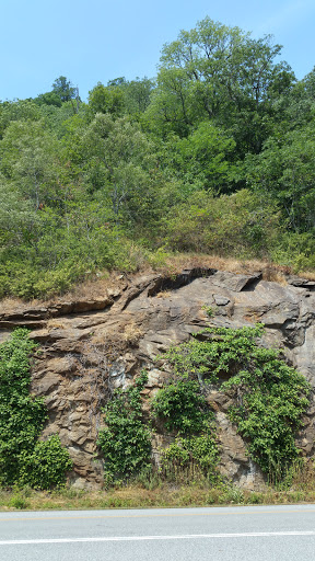 Tourist Attraction «French Broad Overlook», reviews and photos, 3938 Blue Ridge Pkwy, Arden, NC 28704, USA