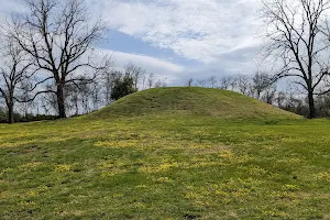 Fewkes Mound Archaeological Site image