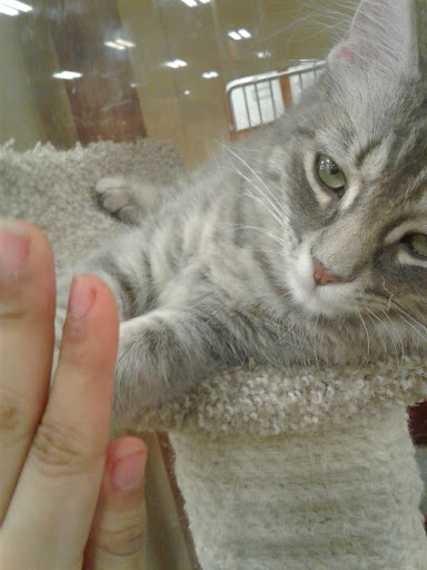 Pet Supply Store «PetSmart», reviews and photos, 2325 S Stemmons Fwy, Lewisville, TX 75067, USA