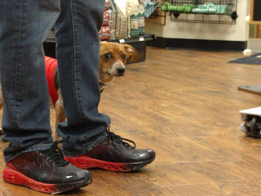 Pet Supply Store «EarthWise Pet Supply», reviews and photos, 7316 Yankee Rd, Liberty Township, OH 45044, USA