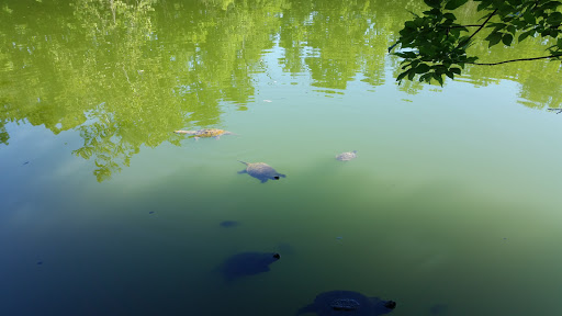 Nature Preserve «Fountain Rock Park & Nature Center», reviews and photos, 8511 Nature Center Place, Walkersville, MD 21793, USA