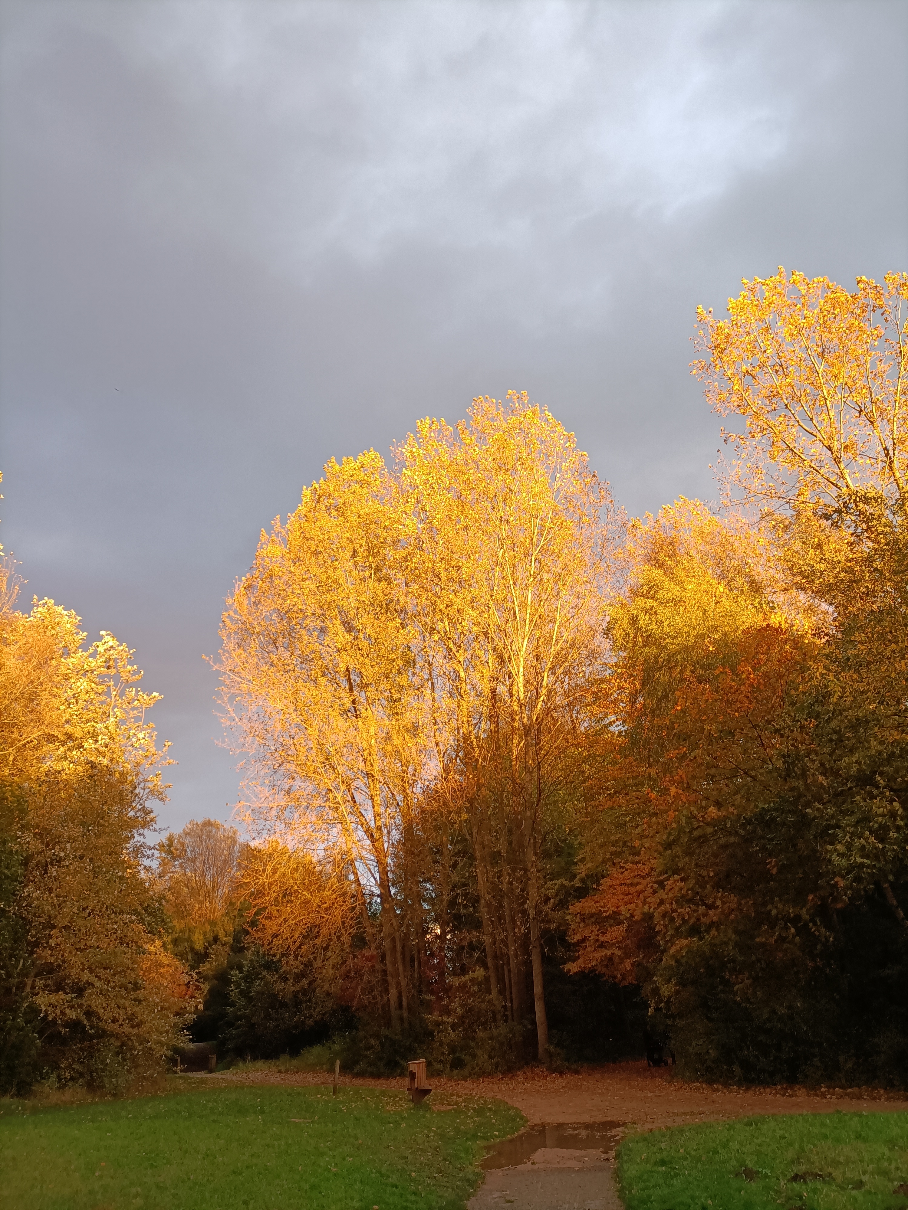 Photo n° 2 de l'avis de Kandji.R fait le 05/11/2023 à 21:02