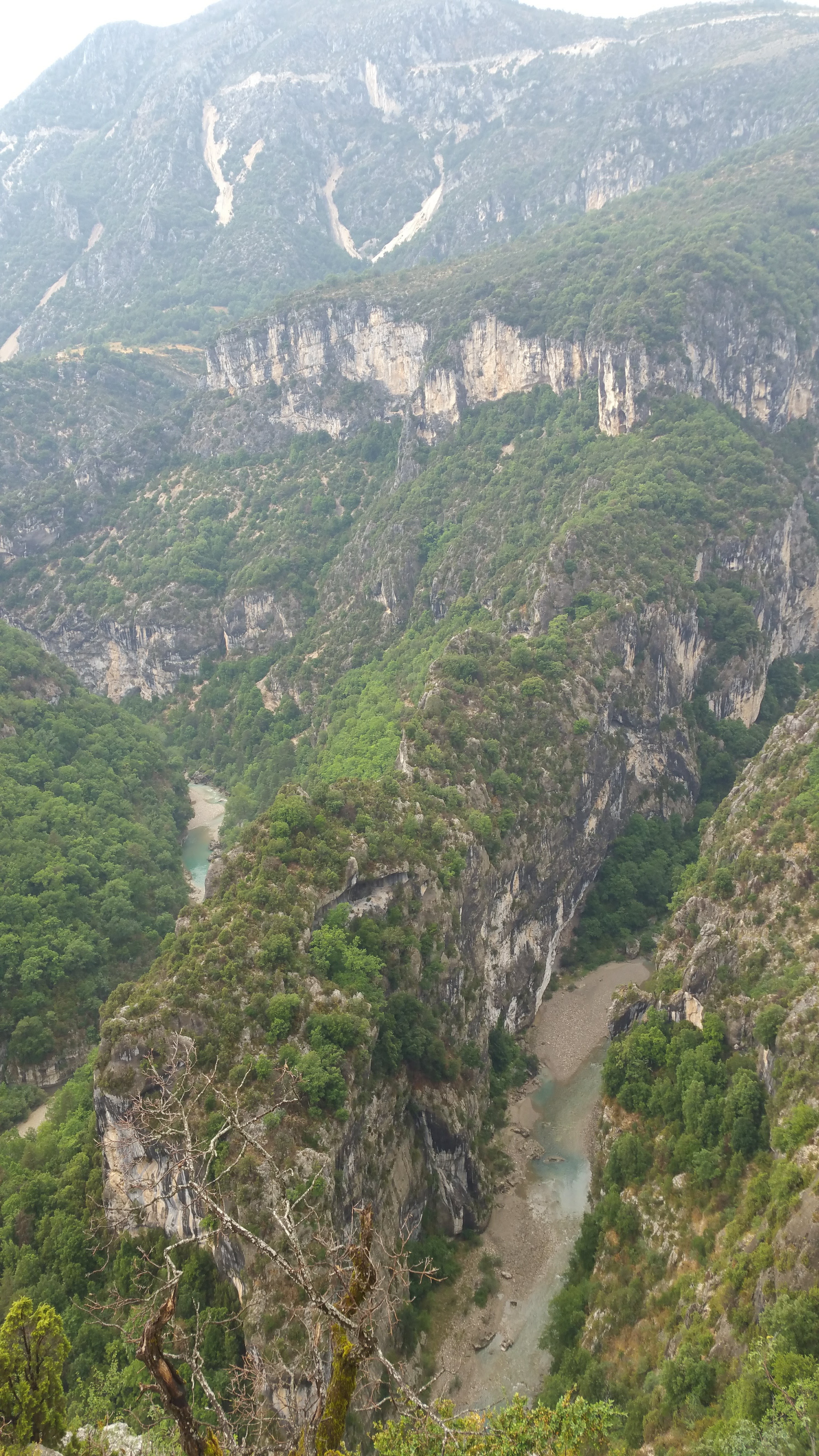 Photo n° 2 de l'avis de Rich. fait le 18/08/2019 à 00:52