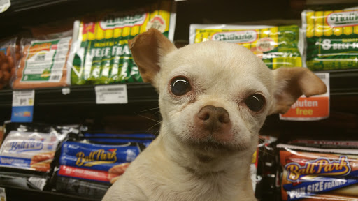 Grocery Store «Safeway», reviews and photos, 16405 CA-116, Guerneville, CA 95446, USA