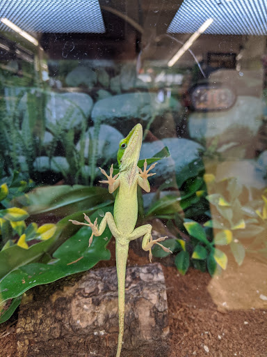 Pet Supply Store «Pet Supplies Plus», reviews and photos, 7031 Lincoln Ave, Lincolnwood, IL 60712, USA