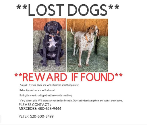 Tattoo Shop «Frontier Tattoo Company», reviews and photos, 2510 E Hunt Hwy #12, San Tan Valley, AZ 85143, USA