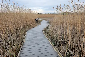 Marsh Boardwalk Trail image