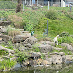 Photo n°3 de l'avis de Jennifer.t fait le 10/05/2024 à 11:01 sur le  Natur-Hunde-Hotel Bergfried à Rötz