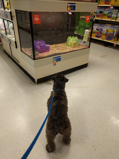 Pet Supply Store «PetSmart», reviews and photos, 5 Mystic View Rd, Everett, MA 02149, USA