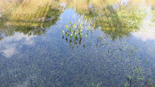 Park «Oak Hammock Park», reviews and photos, 9220 NW 44th Ct, Sunrise, FL 33351, USA