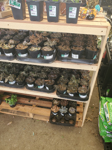 Department Store «Walmart Supercenter», reviews and photos, 1501 Skyland Blvd E, Tuscaloosa, AL 35405, USA