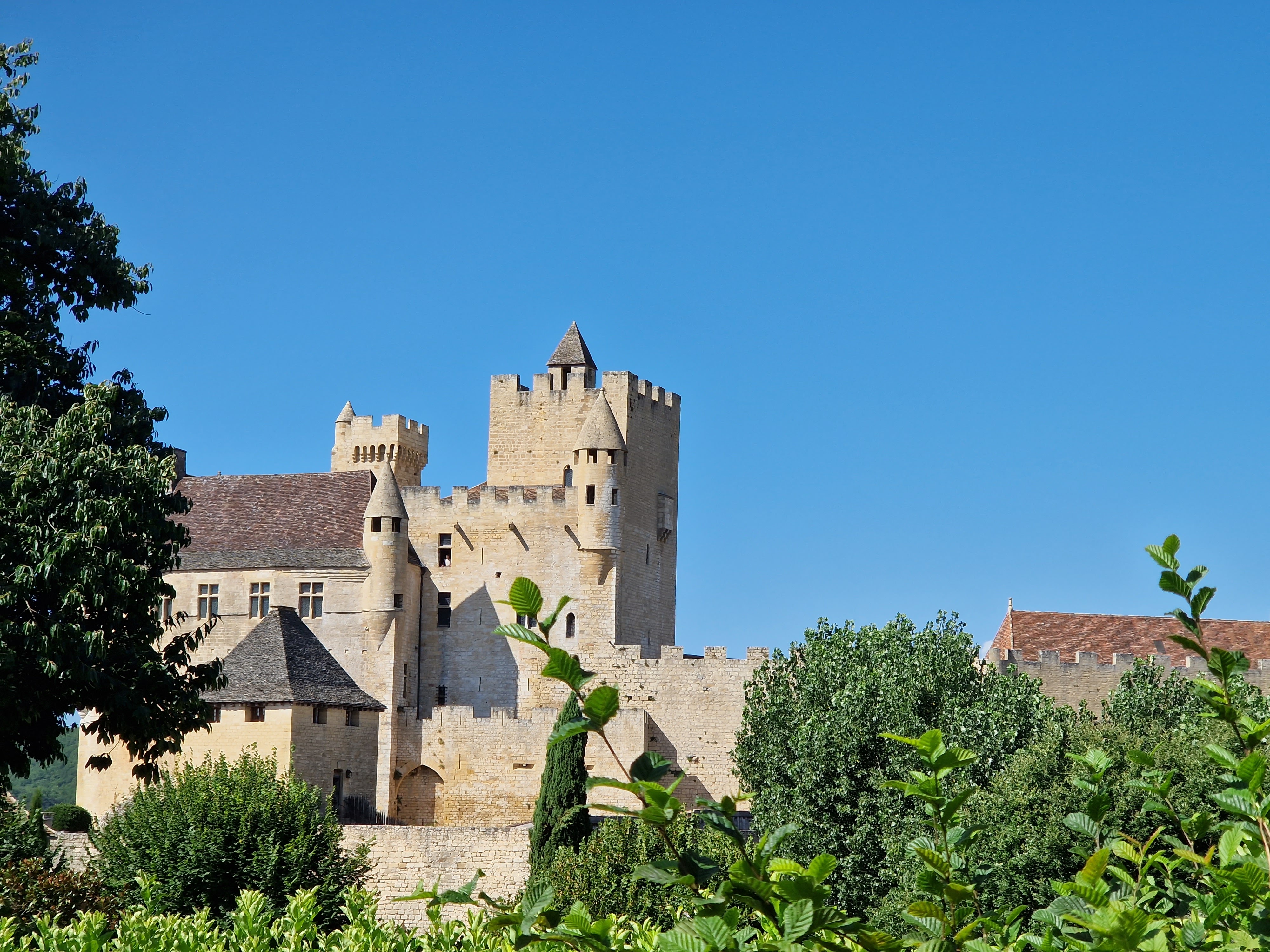 Photo n° 8 de l'avis de Ramon.e fait le 22/08/2023 à 22:41