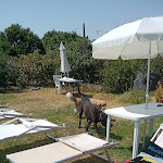 Photo n°6 de l'avis de Maria.r fait le 21/08/2021 à 12:52 sur le  Agriturismo Pumadamuri à Pennisi