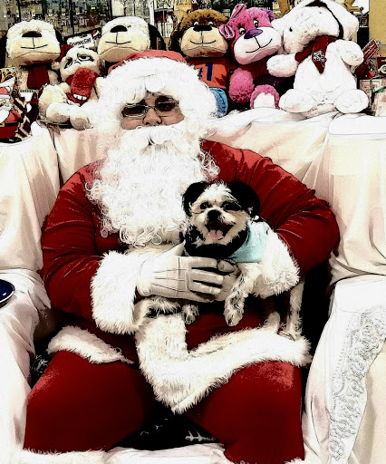 Pet Supply Store «PetSmart», reviews and photos, 1900 W International Speedway Blvd, Daytona Beach, FL 32114, USA