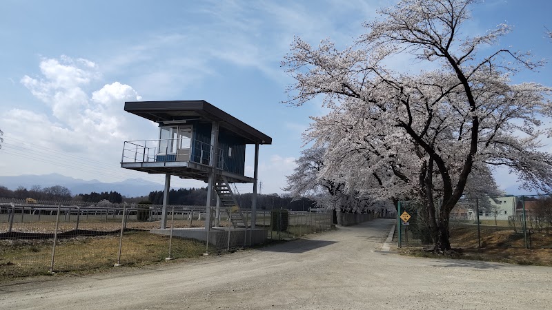 地方競馬教養センターの桜並木