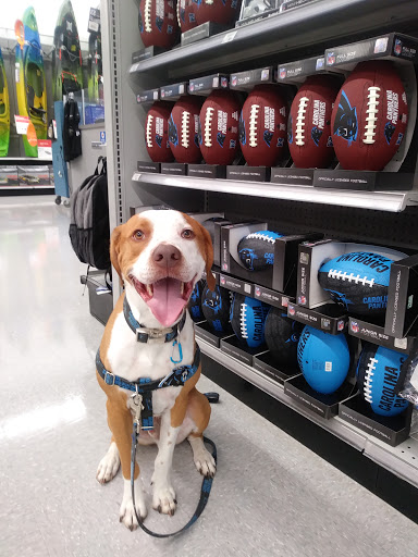 Sporting Goods Store «Academy Sports + Outdoors», reviews and photos, 8675 Concord Mills Boulevard, Concord, NC 28027, USA