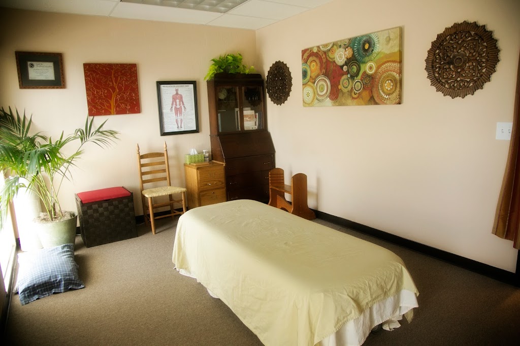 MedicinEvolution Bodywork Beyond Massage 94583