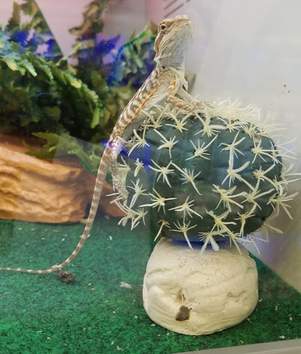 Pet Supply Store «Pet Supplies Plus», reviews and photos, 1137 Annapolis Rd, Odenton, MD 21113, USA