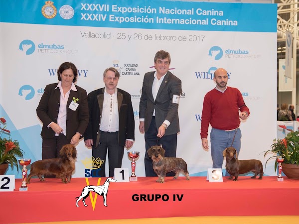 sociedad canina castellana