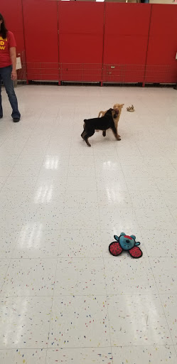 Pet Supply Store «Petco Animal Supplies», reviews and photos, 16095 W Bluemound Rd, Brookfield, WI 53005, USA