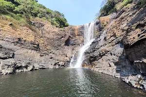 Vajrapoha (Mahadaayihole) Falls. image