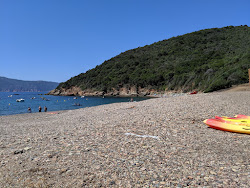Photo de Plage de Punta Di Latone zone des équipements