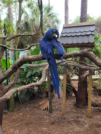 Zoo «Brevard Zoo», reviews and photos, 8225 N Wickham Rd, Melbourne, FL 32940, USA