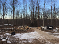 Harrington Tree And Landscaping - Photo 2 - Car repair in , Frederick