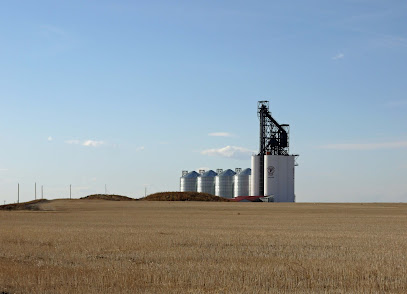 Paterson Grain