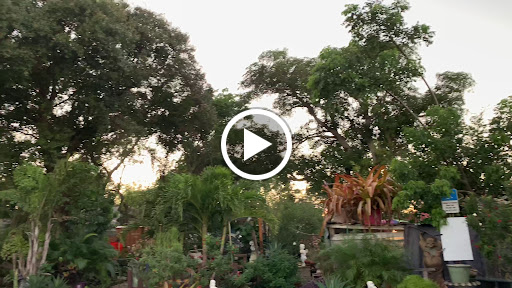 Thrift Store «OddBalls Nifty Thrift», reviews and photos, 530 NE 13th St, Fort Lauderdale, FL 33304, USA