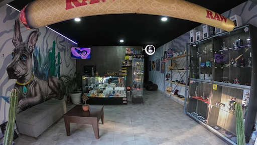 Xolo Smoke Shop & Tattoo