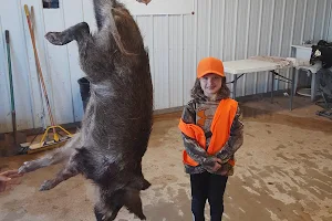 All About U Ranch (Oklahoma hog hunting) image