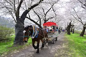 Kitakami Tenshochi Park image