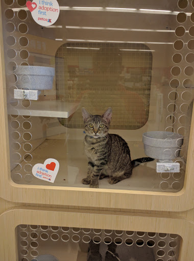 Pet Supply Store «Petco Animal Supplies», reviews and photos, 1605 Beltline Rd SW, Decatur, AL 35601, USA