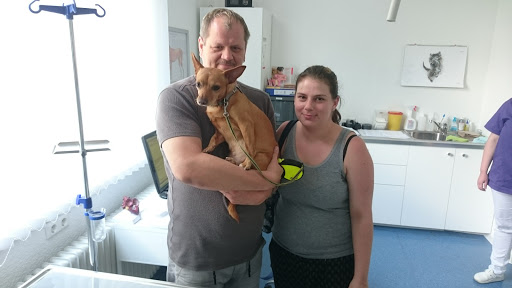 Dr. med. Vet. Robert Hausner unter Mannheim, Baden Württemberg