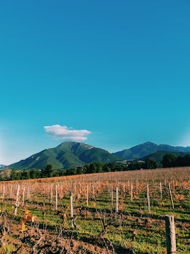 Clos Capitoro à Grosseto-Prugna