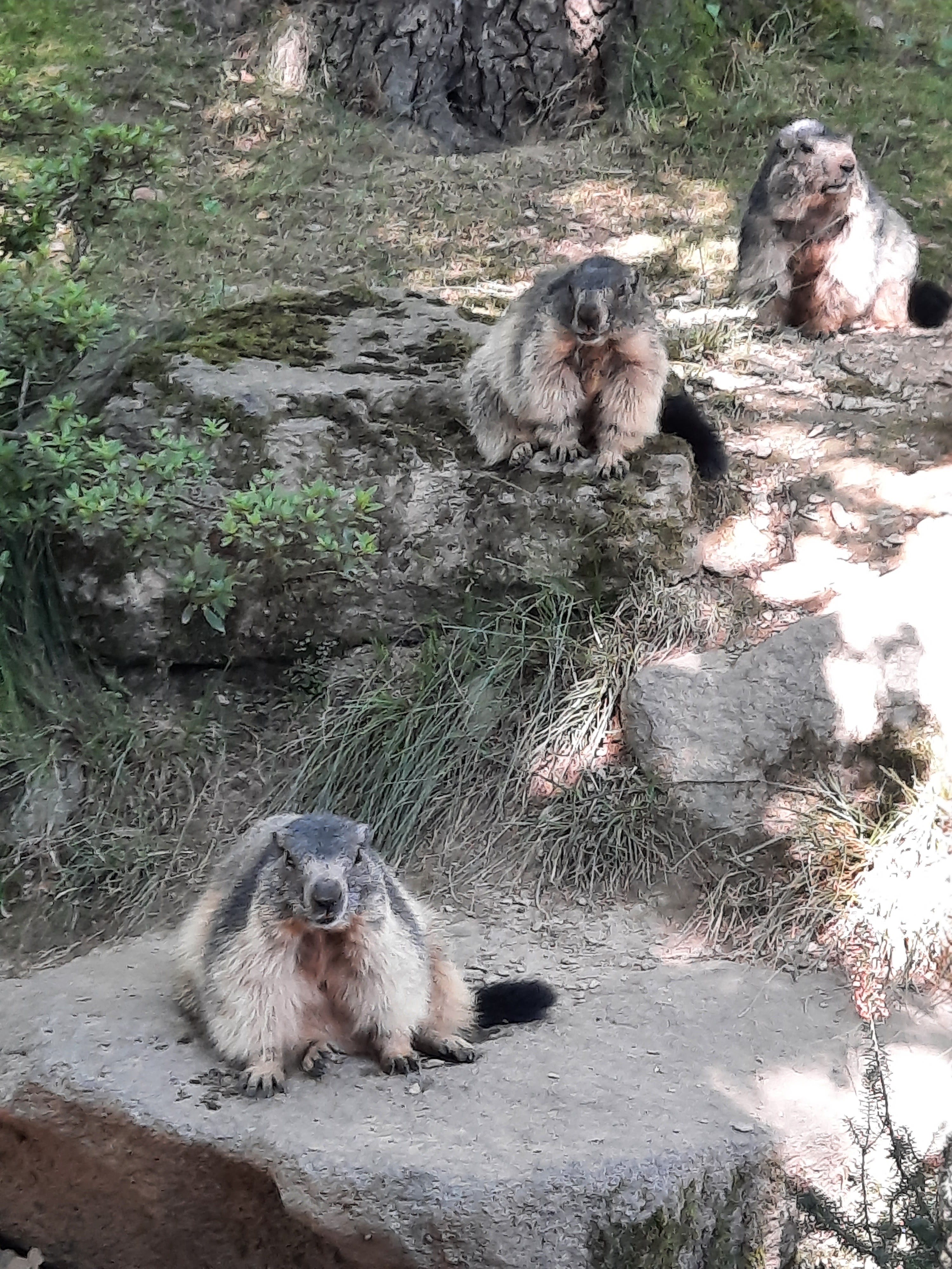 Photo n° 19 de l'avis de Gwen.i fait le 08/08/2023 à 13:19